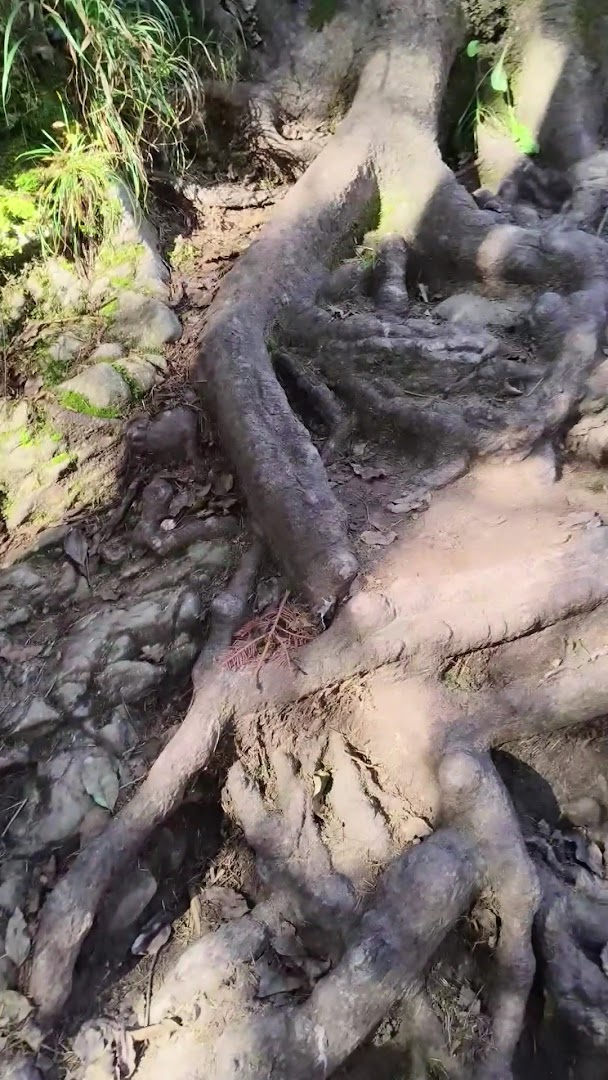 Vie dell'acqua