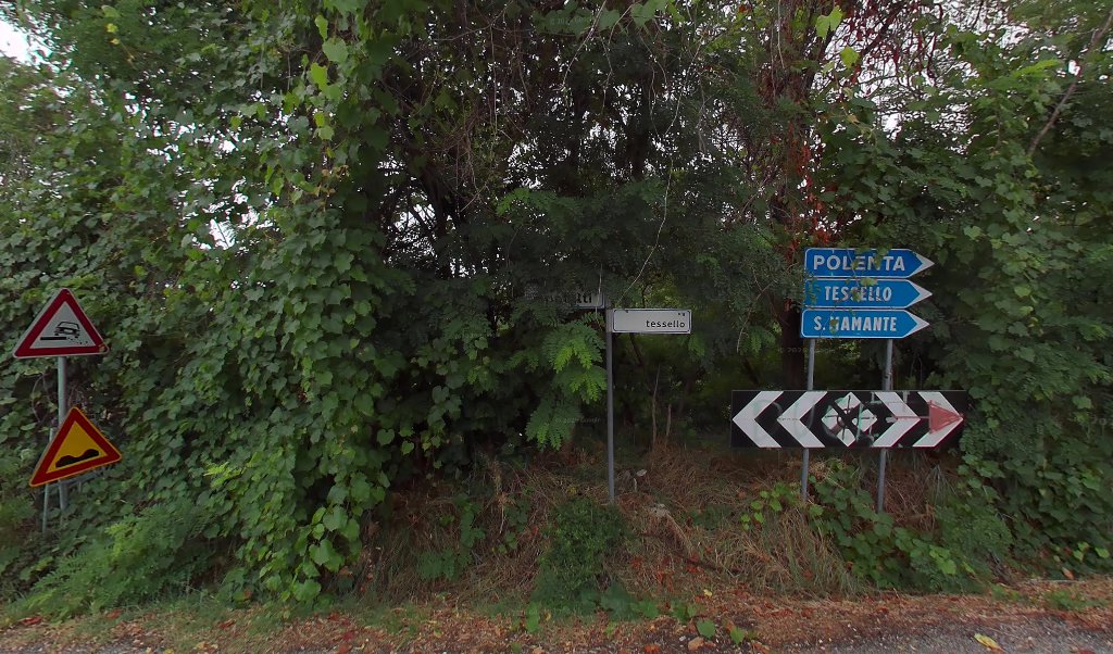 Vieni a trovarci, Cesena
