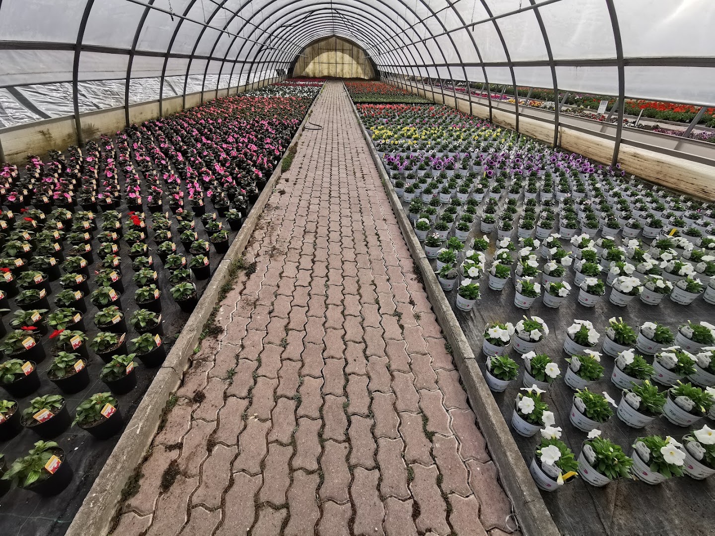 Vilflora Home & Garden
