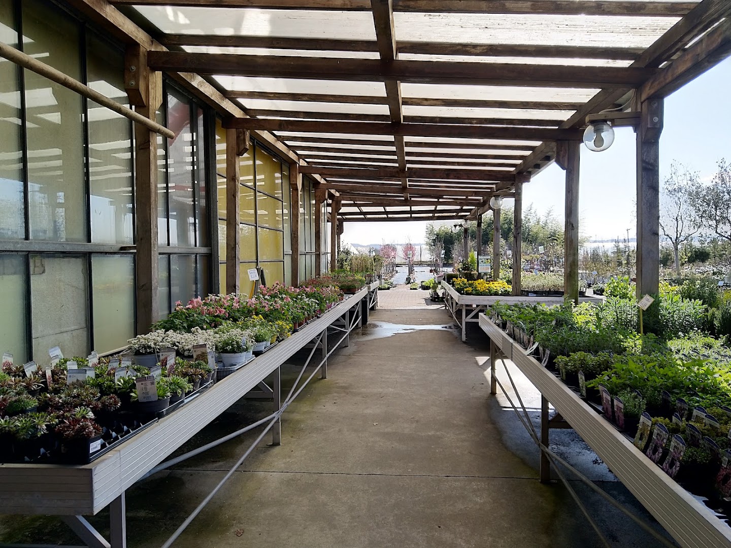 Vilflora Home & Garden