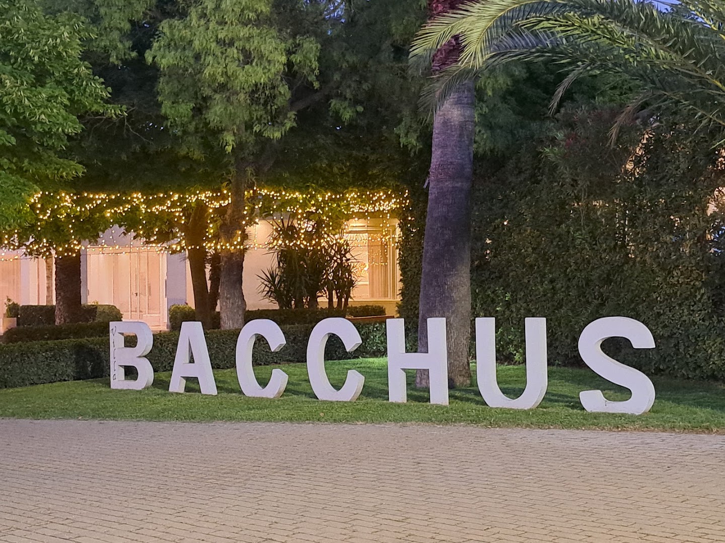 Villa Bacchus