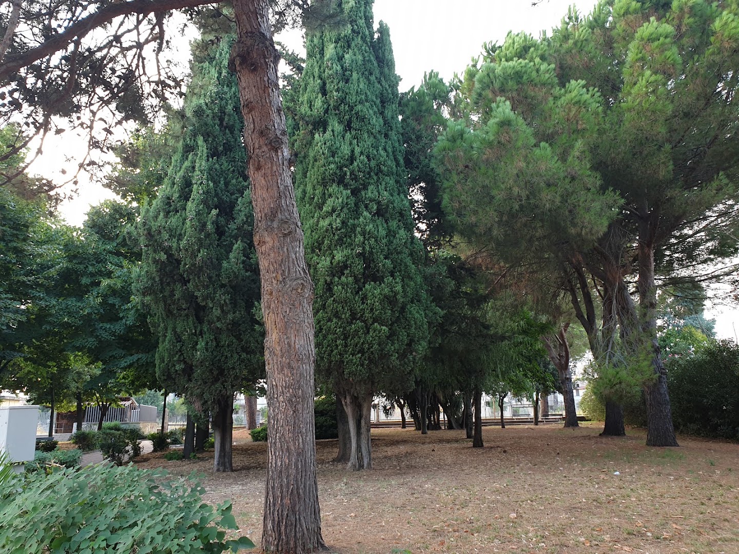 Villa comunale Taverna Delle Rose