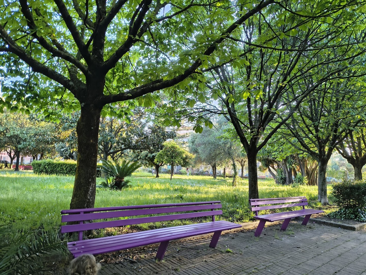 Villa comunale Taverna Delle Rose