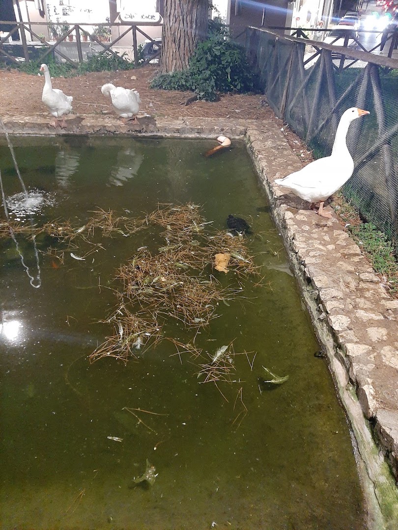 Villa comunale