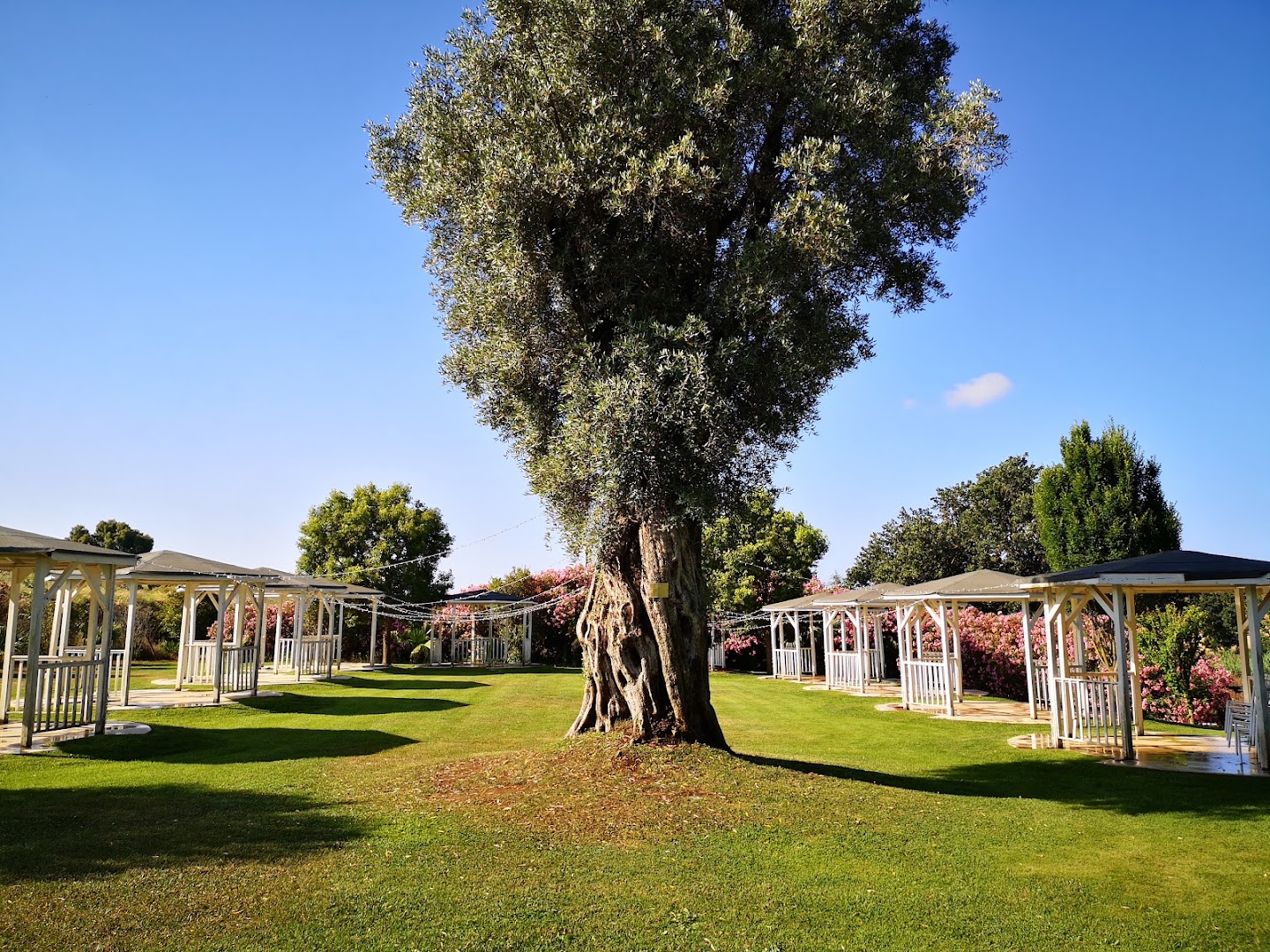 Villa I Quattro Ricci