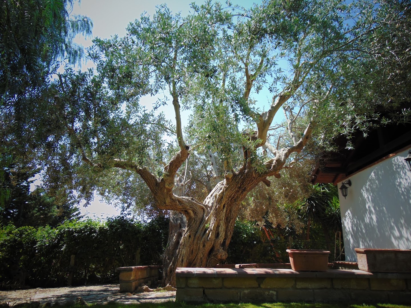 Villa Lanza - Sala Ricevimenti