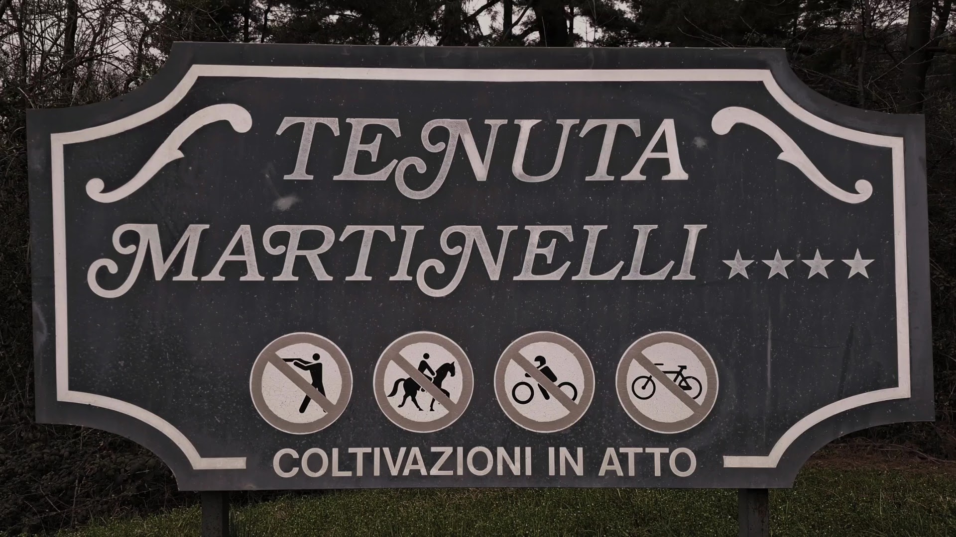 Villa Martinelli
