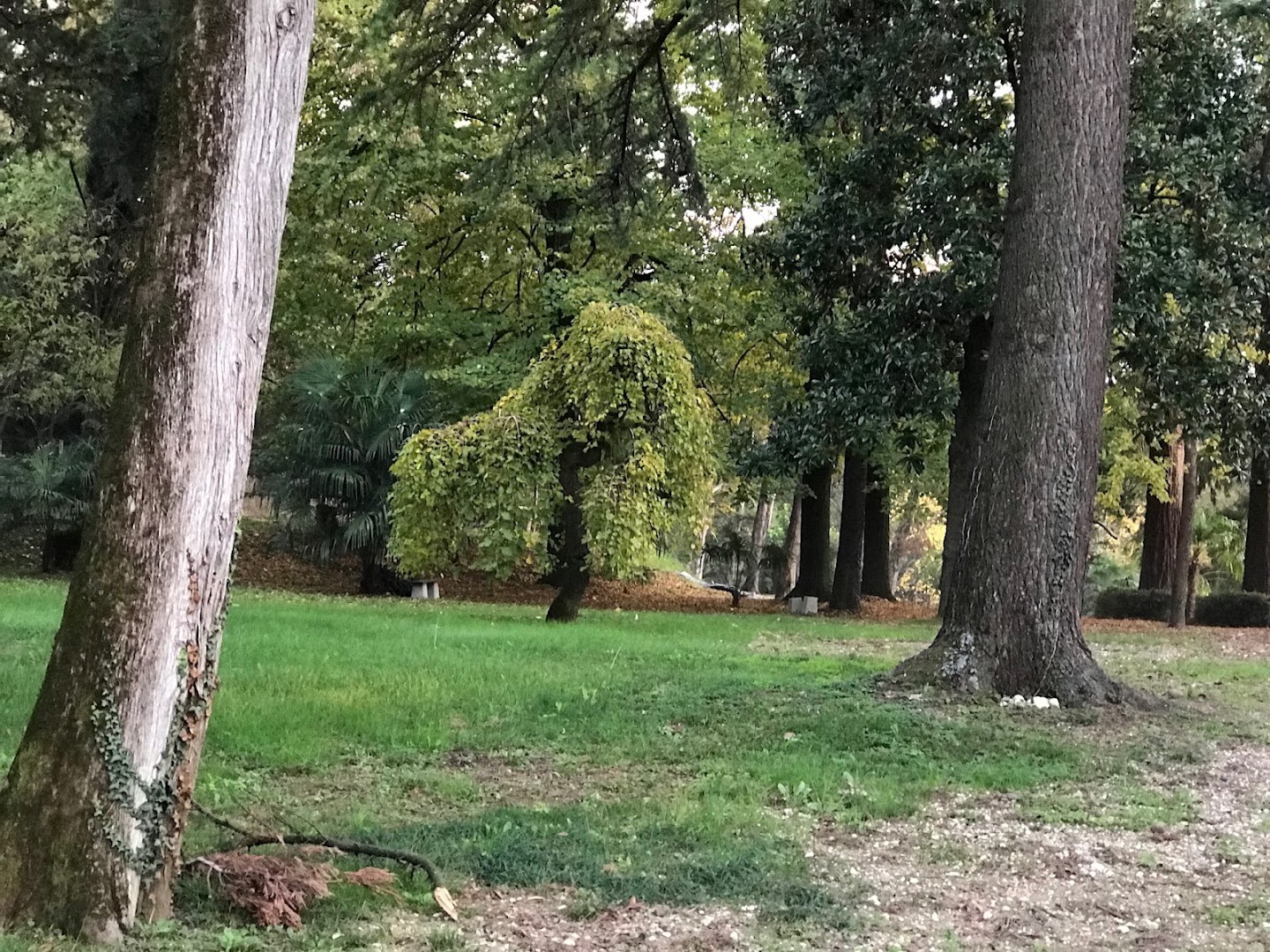 Villa Melsi