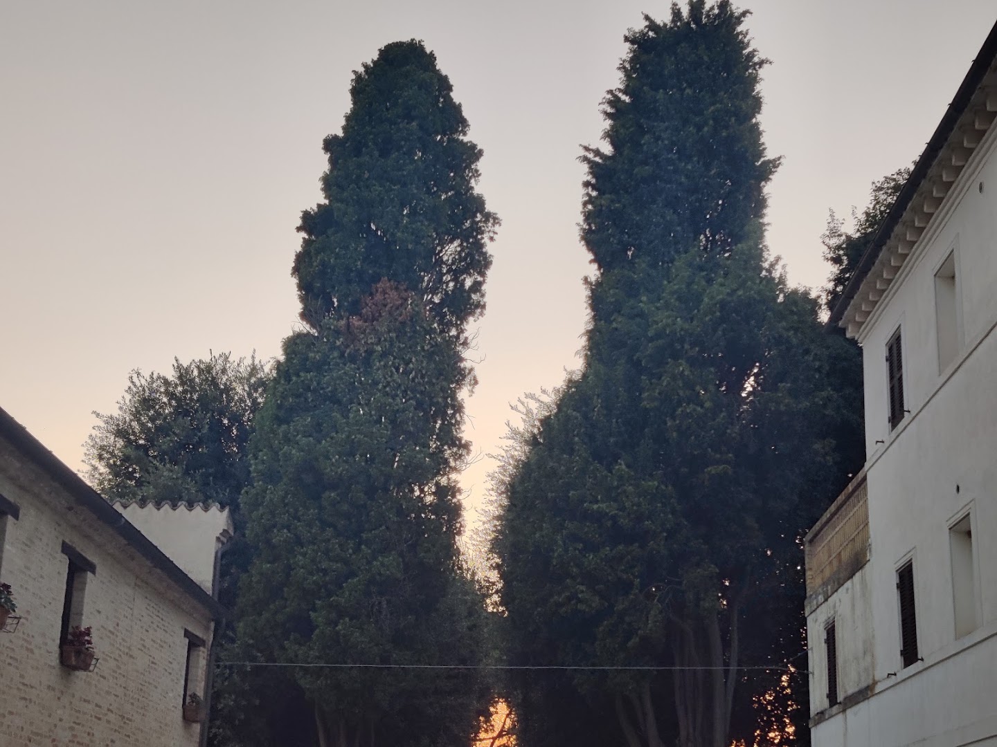 Villa Nappi