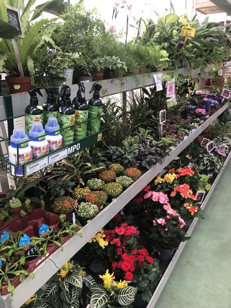 Villaggio Natura Russi