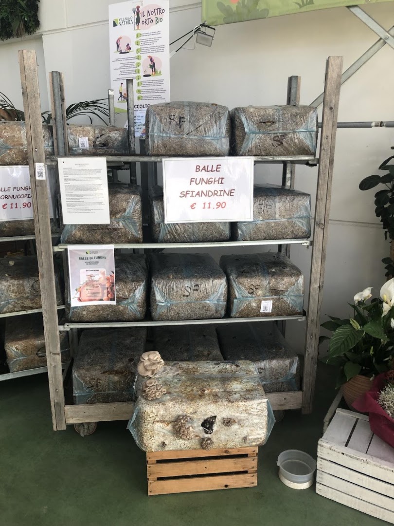 Villaggio Natura Russi