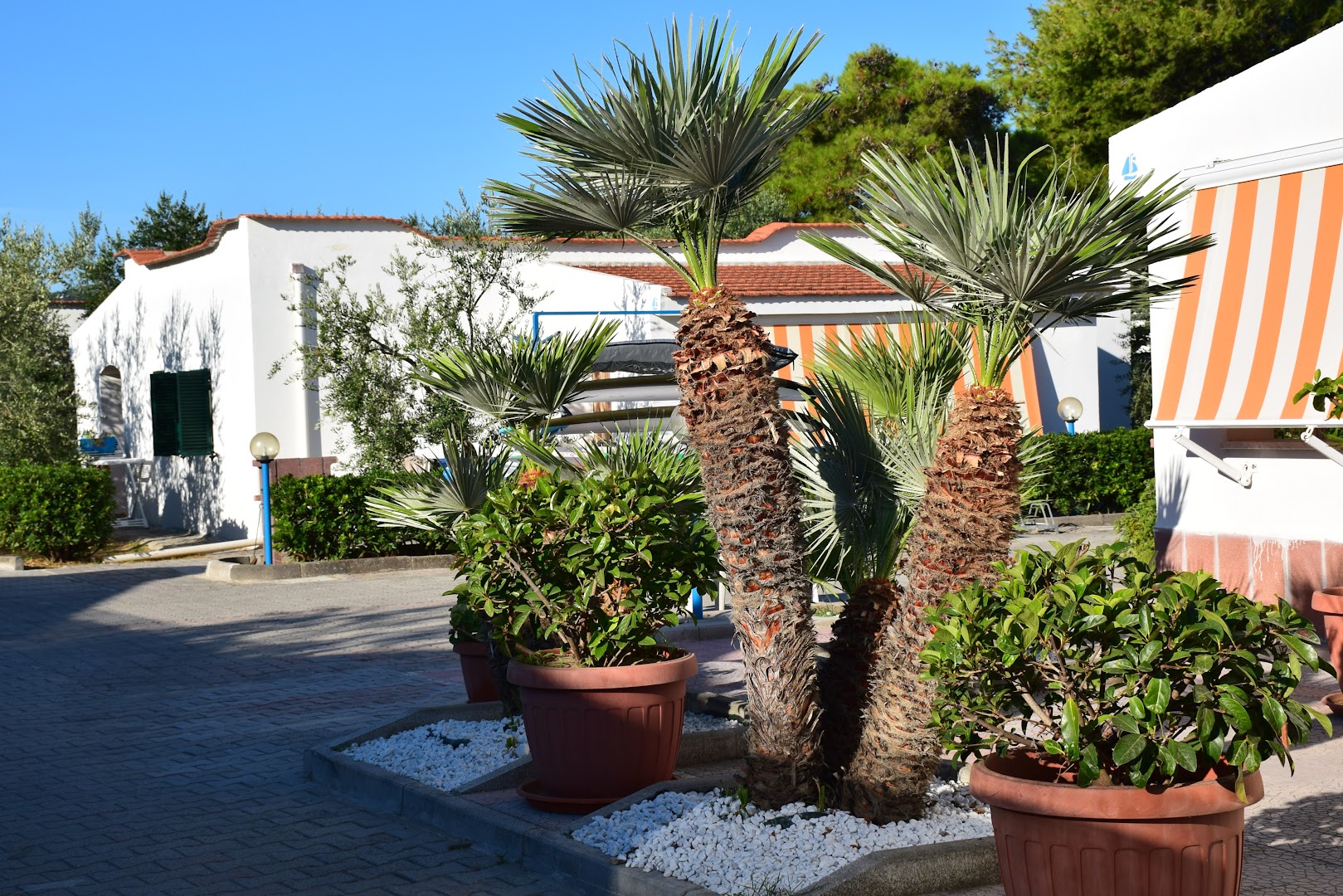 Villaggio Piccola America