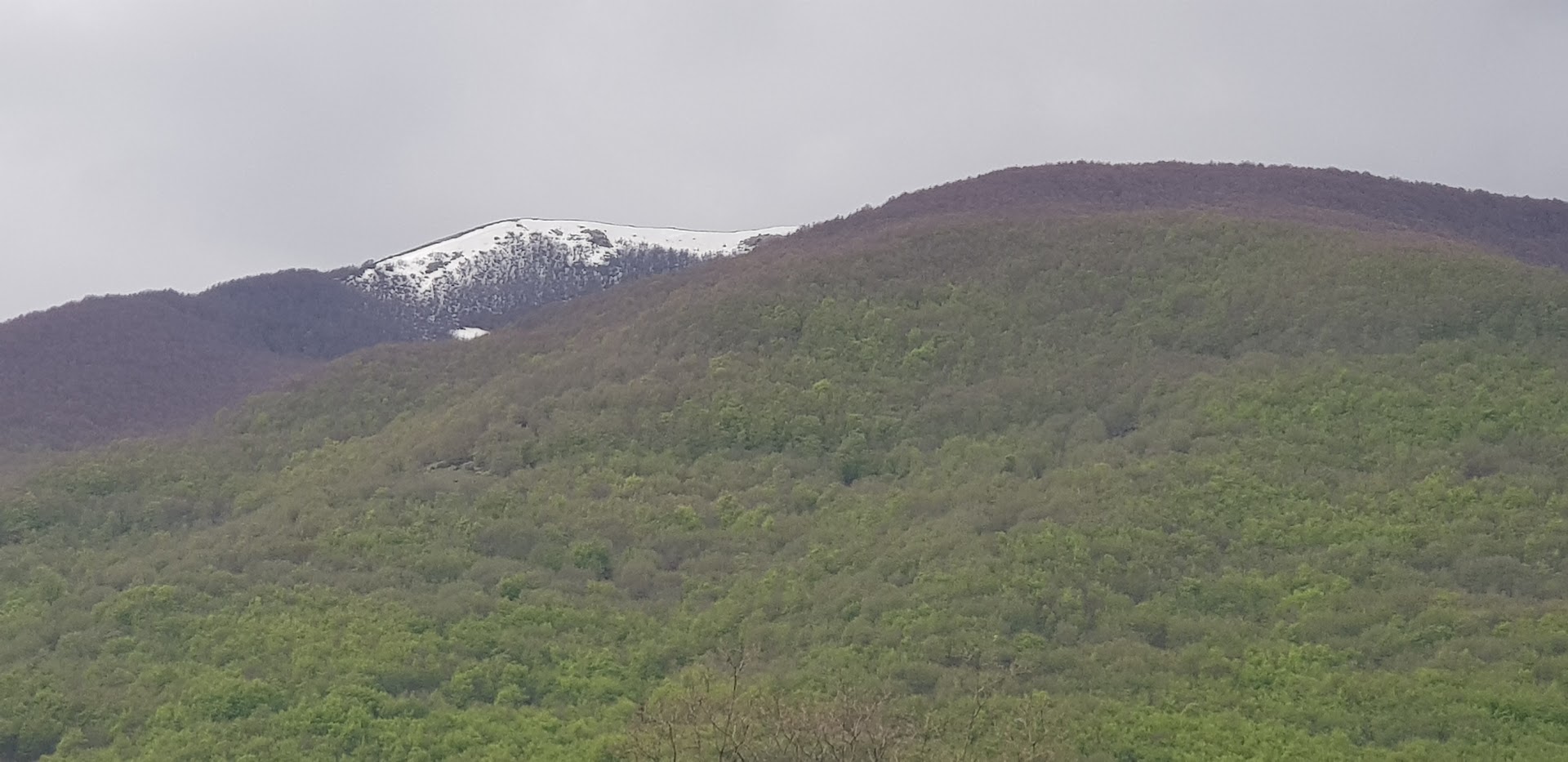 Villavallelonga