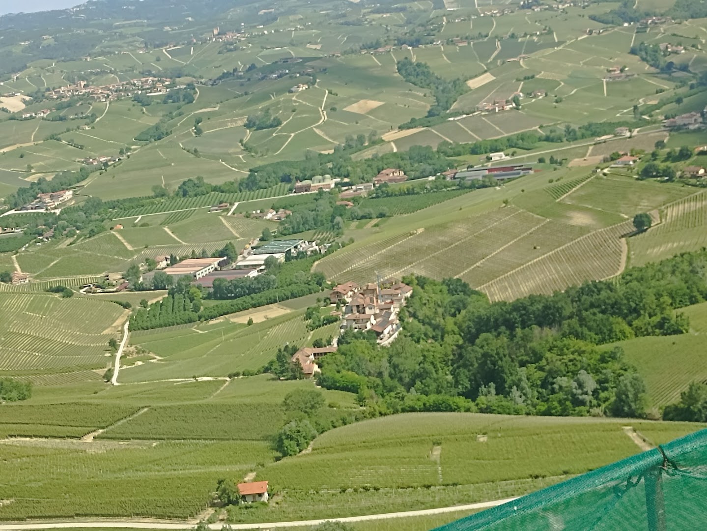 Vinbar | Osteria La Morra, La Morra