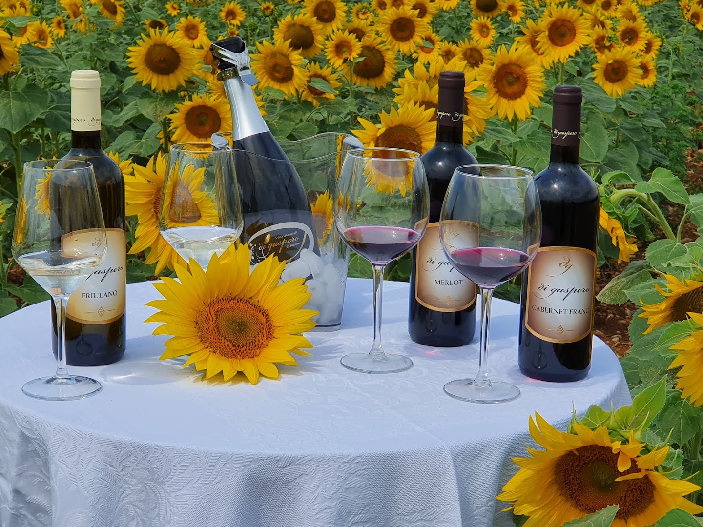 VINI DI GASPERO