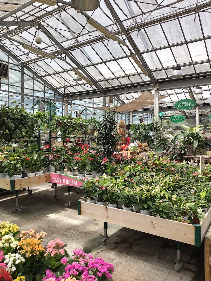 Viridea Garden Center Montebello (PV)
