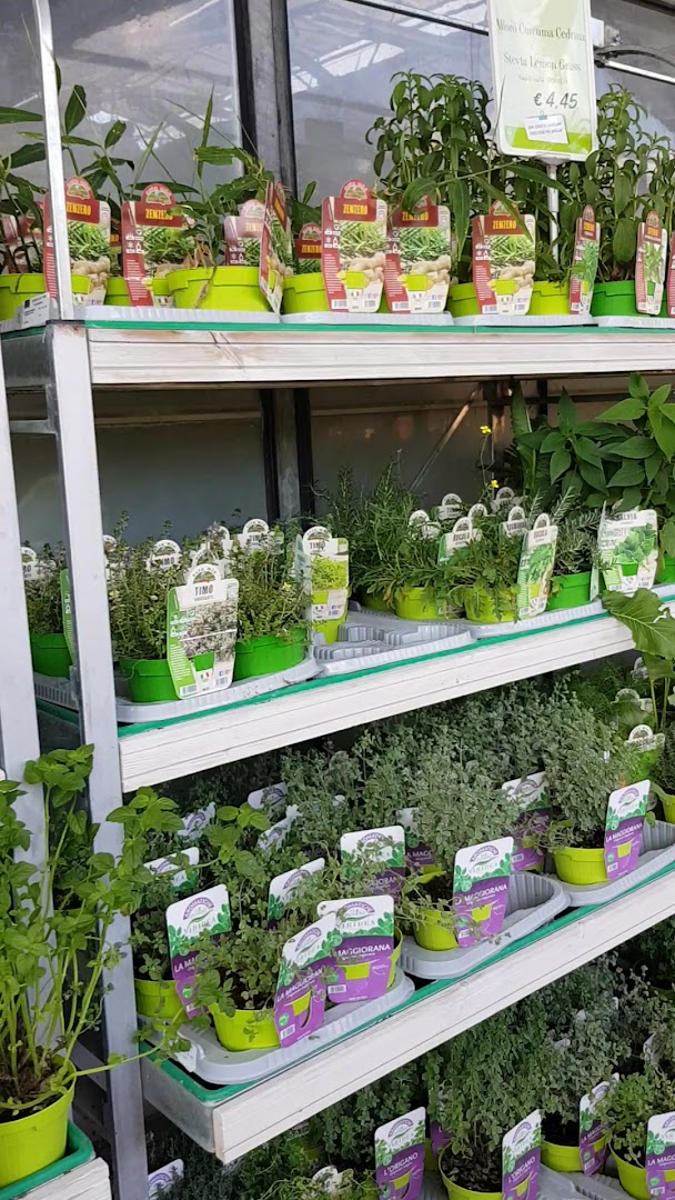 Viridea Garden Center Montebello (PV)