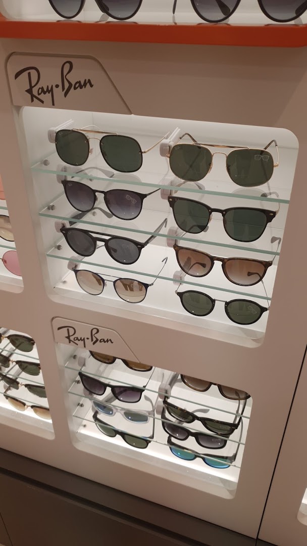 VisionOttica, Bologna