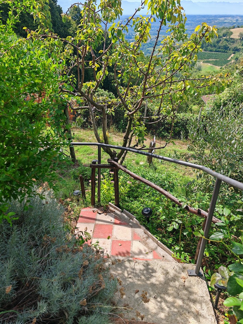Vista Panoramica sul Monviso