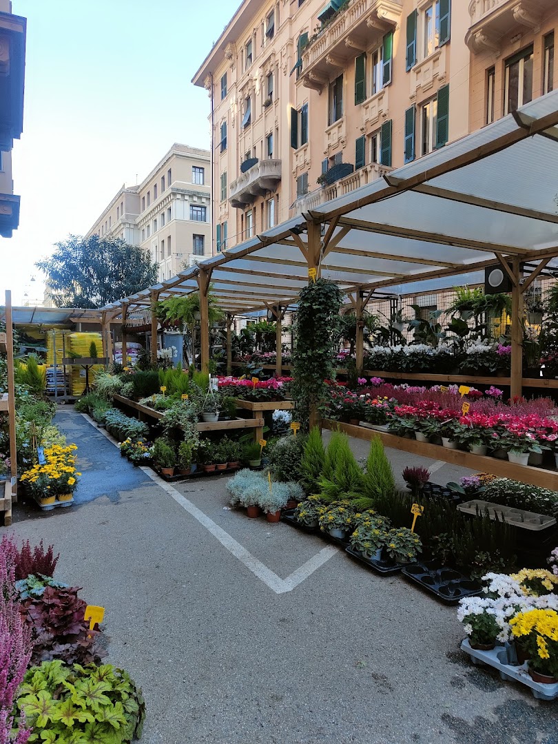 Vita Piante e Fiori
