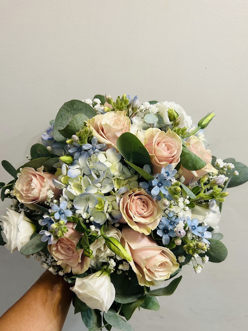 Vita Piante e Fiori
