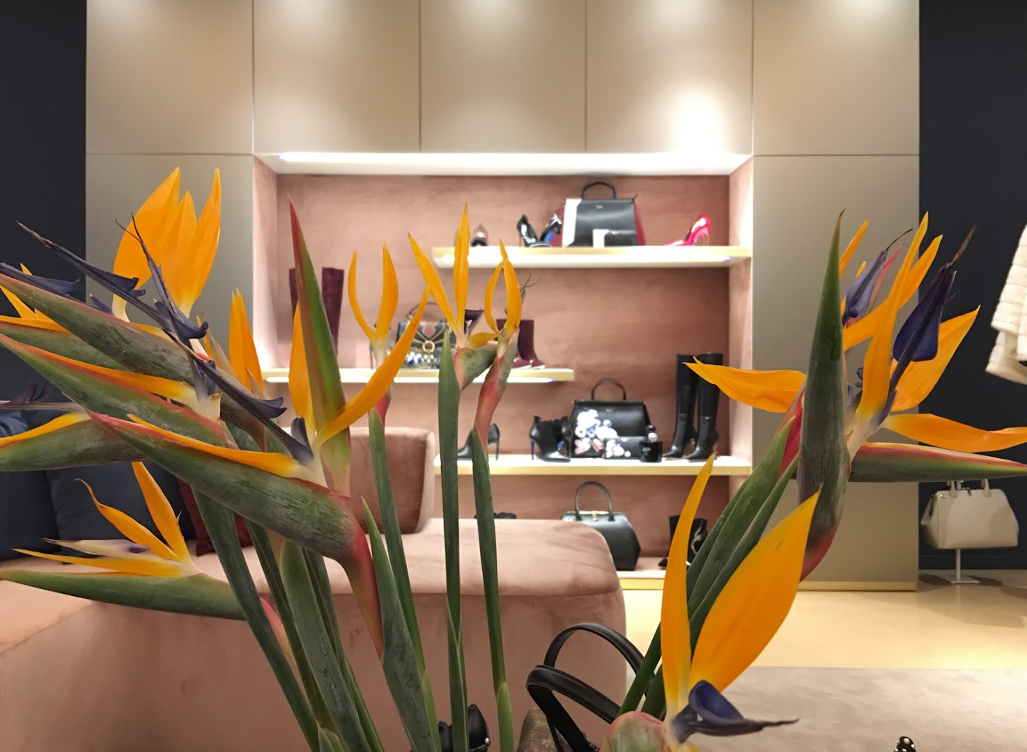 Vittorio Citro Boutique