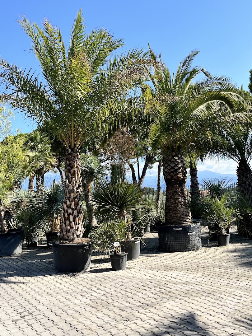 Vivaio del Garda