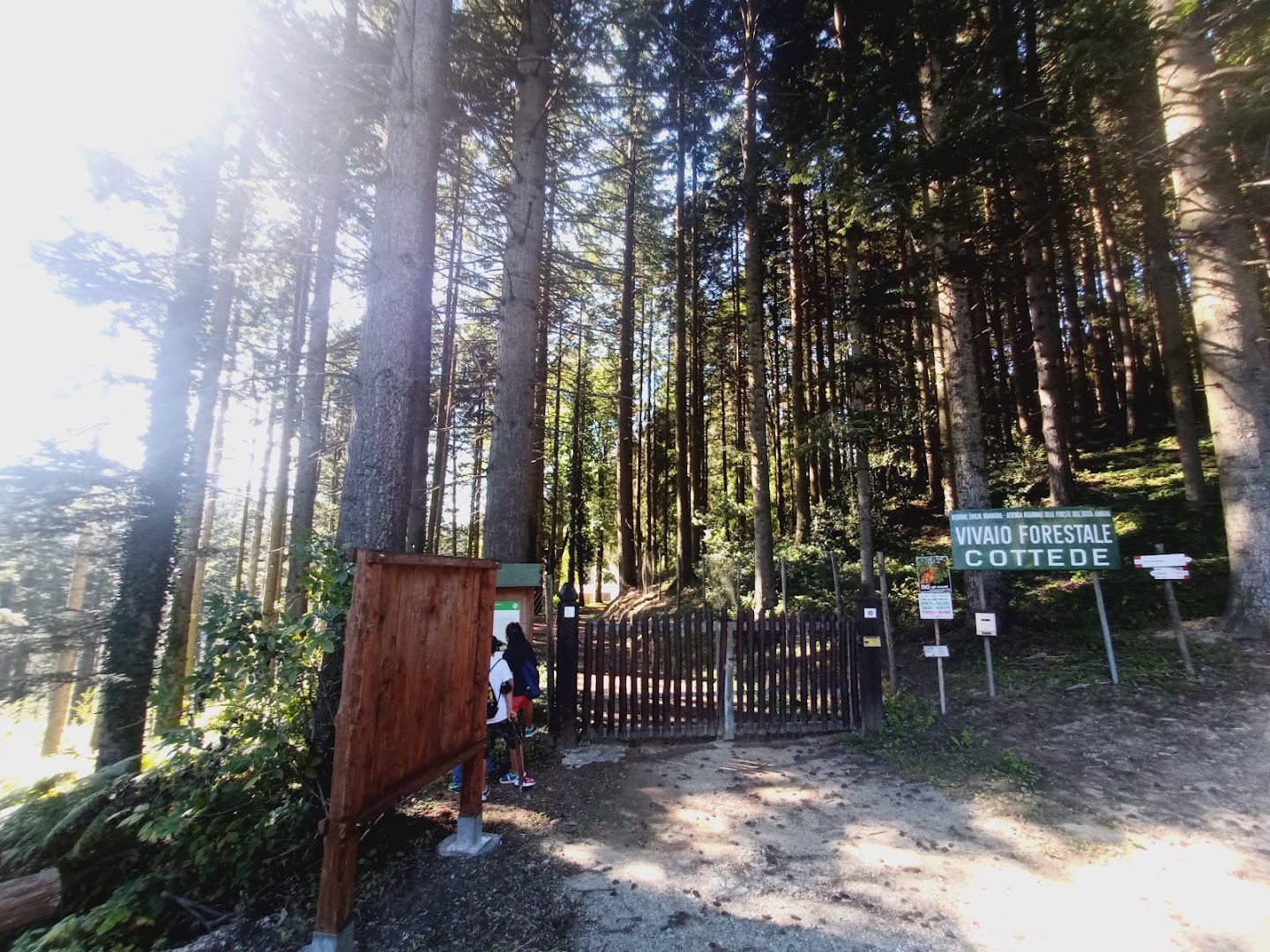 Vivaio Forestale Cottede