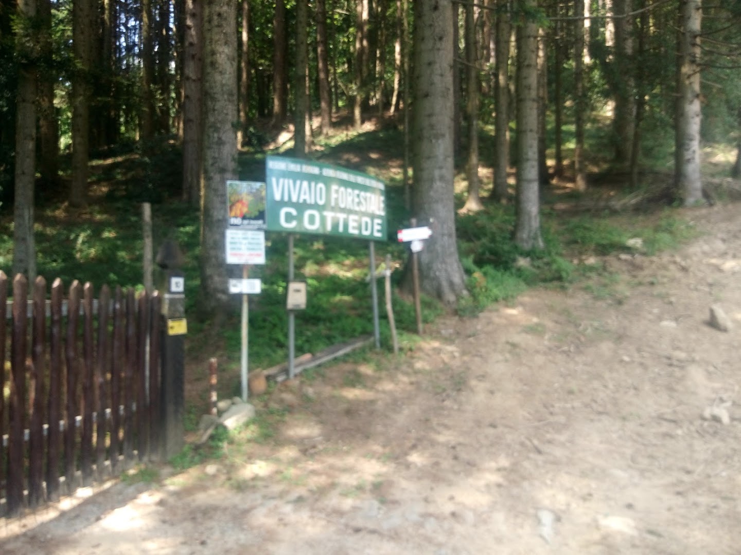 Vivaio Forestale Cottede