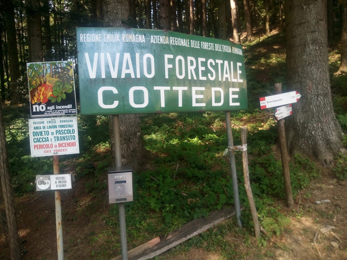 Vivaio Forestale Cottede