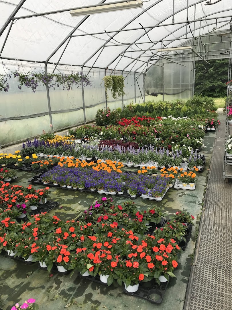Vivaio Garden Center Magri di Davide Magri