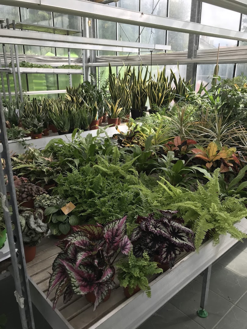 Vivaio Garden Center Magri di Davide Magri