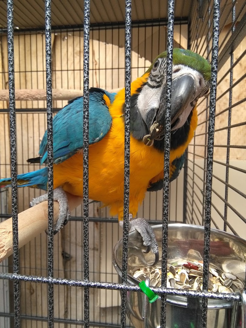 Vivaio Spazio Verde