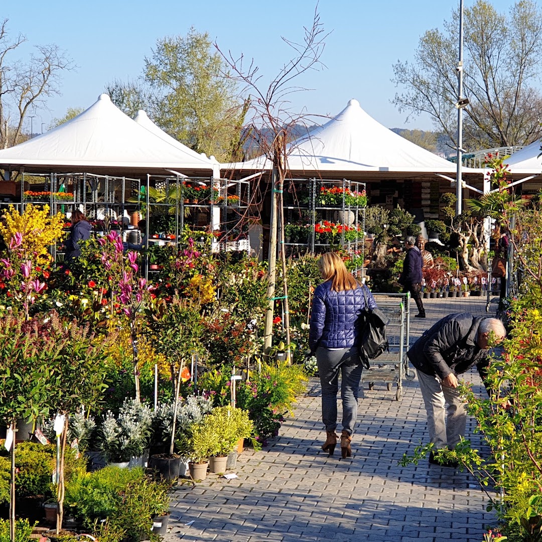 Vivaio Valpescara Garden