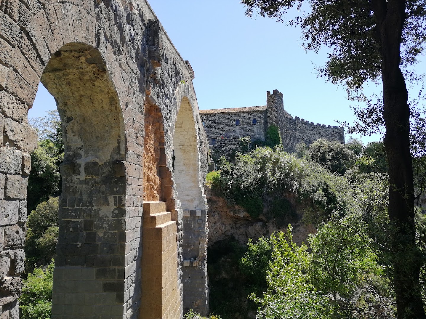 Vulci
