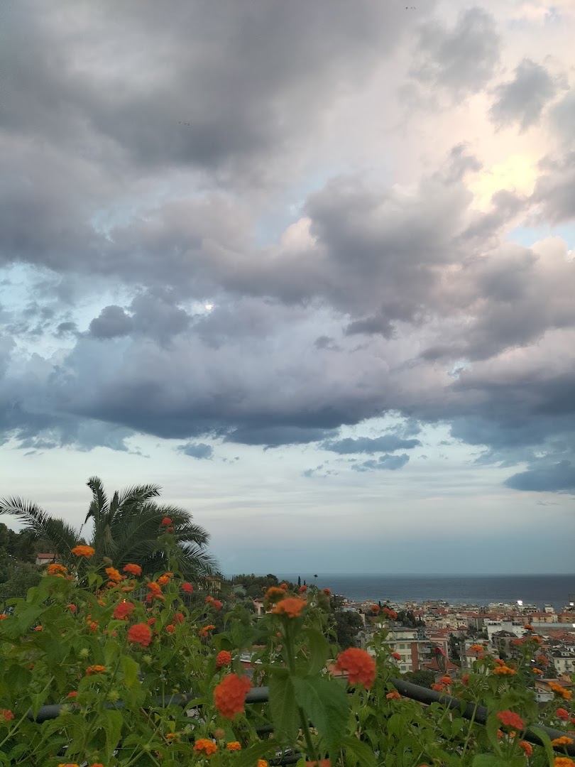 Vynia, Alassio