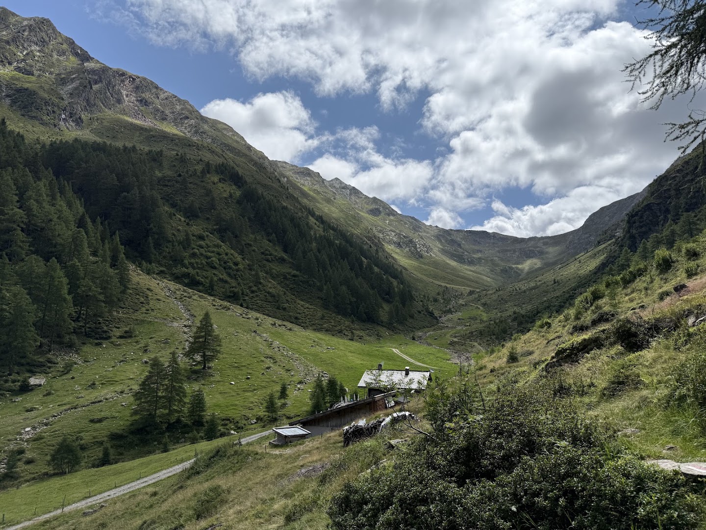 Wanser Alm