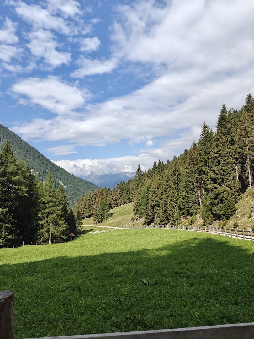 Wanser Alm