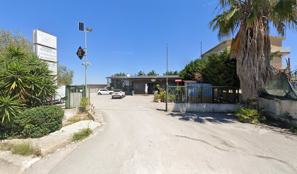 Wash Car, Riesi
