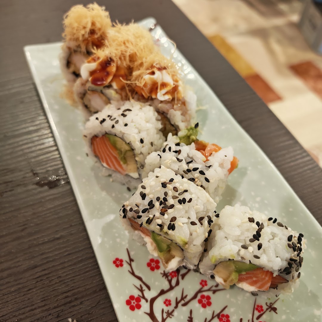 Watami, Belluno