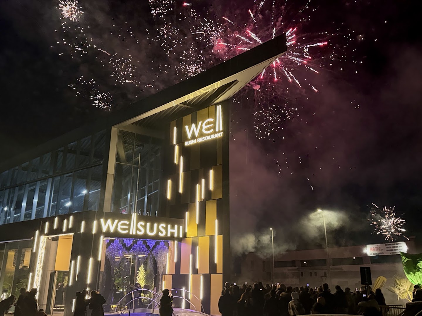 Well - Sushi Saronno