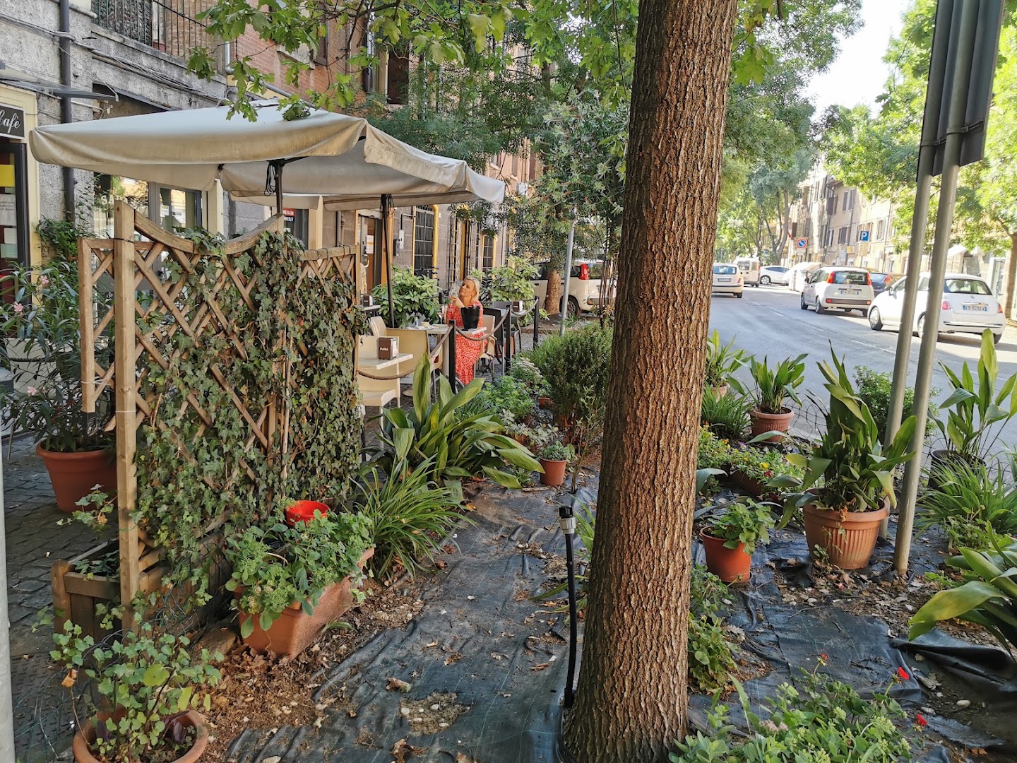 Why Not Cafè Modena
