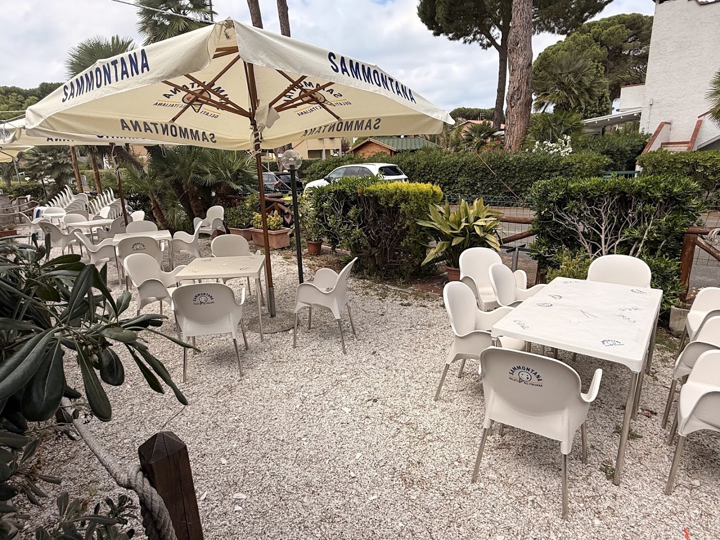 Wild King Bar - Bistrot