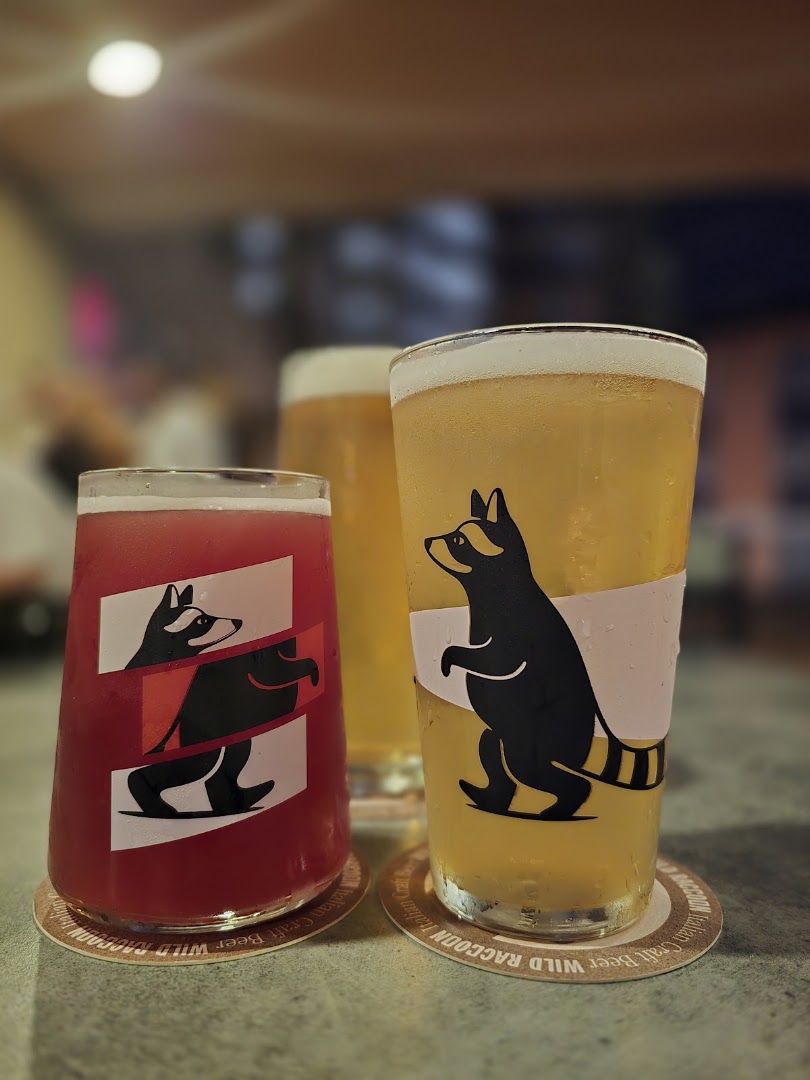 Wild Raccoon Tap Room, Udine