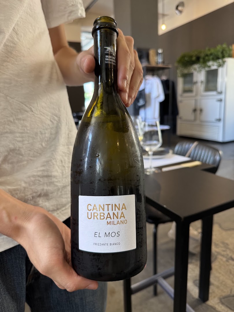 Wine Bar De Angeli by Cantina Urbana