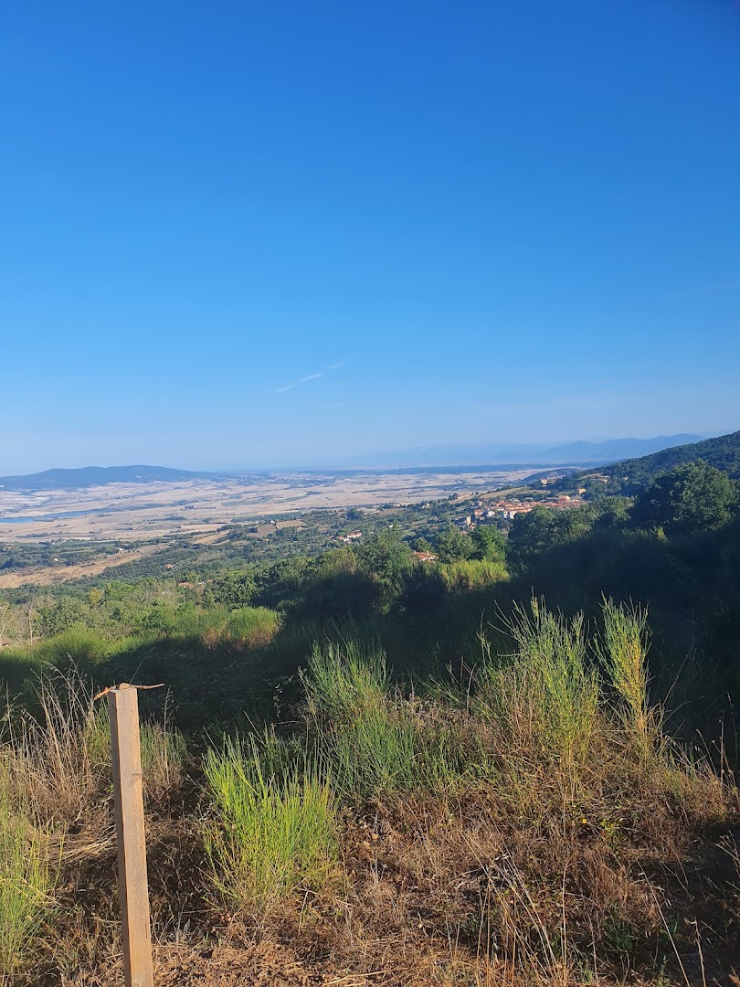Wine Bar Il Muretto, Castellina Marittima
