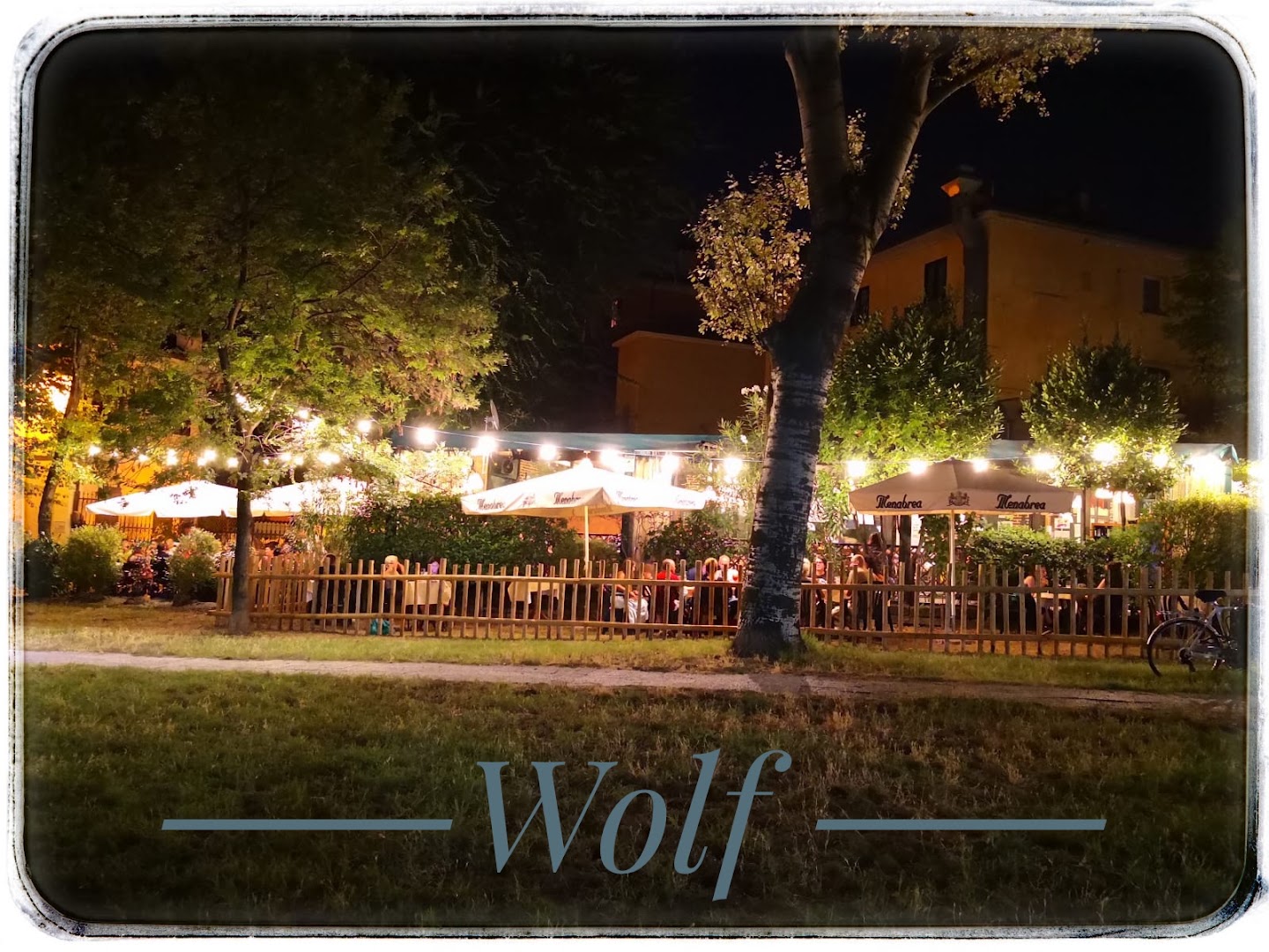 Wolf