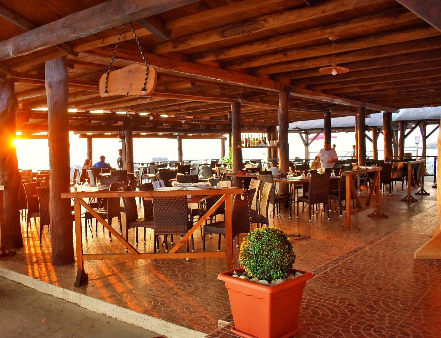 Wood Natural Beach Club