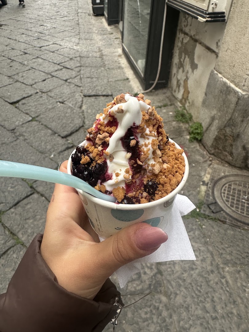 Yogorino Caserta