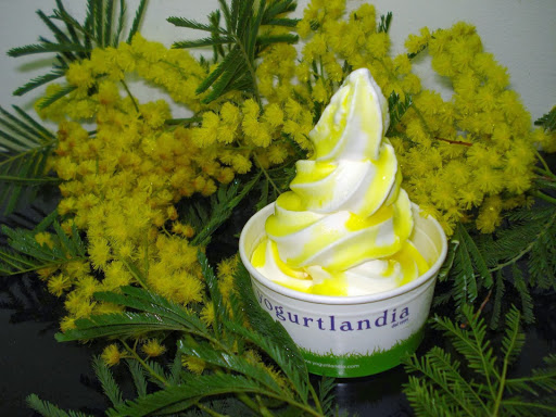 Yogurtlandia San Giovanni La Punta c/o I Portali